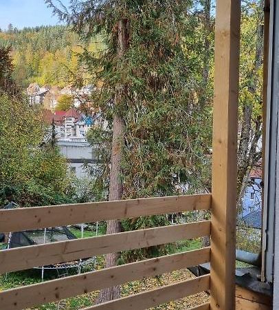 Sm3 Apartment Triberg im Schwarzwald Exterior foto