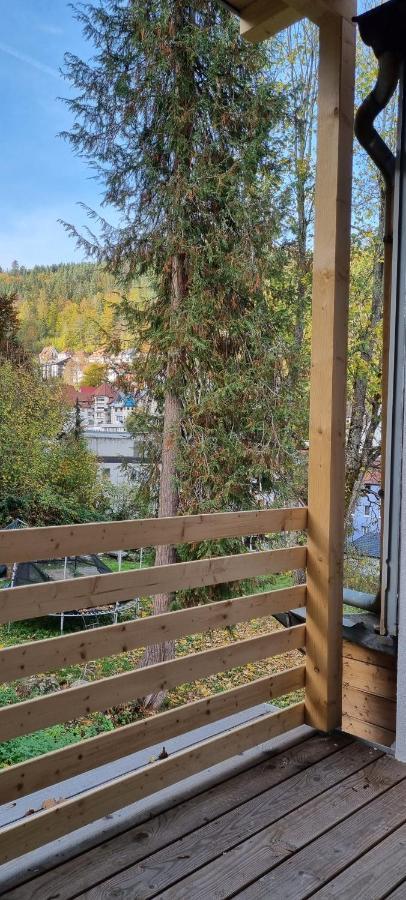 Sm3 Apartment Triberg im Schwarzwald Exterior foto